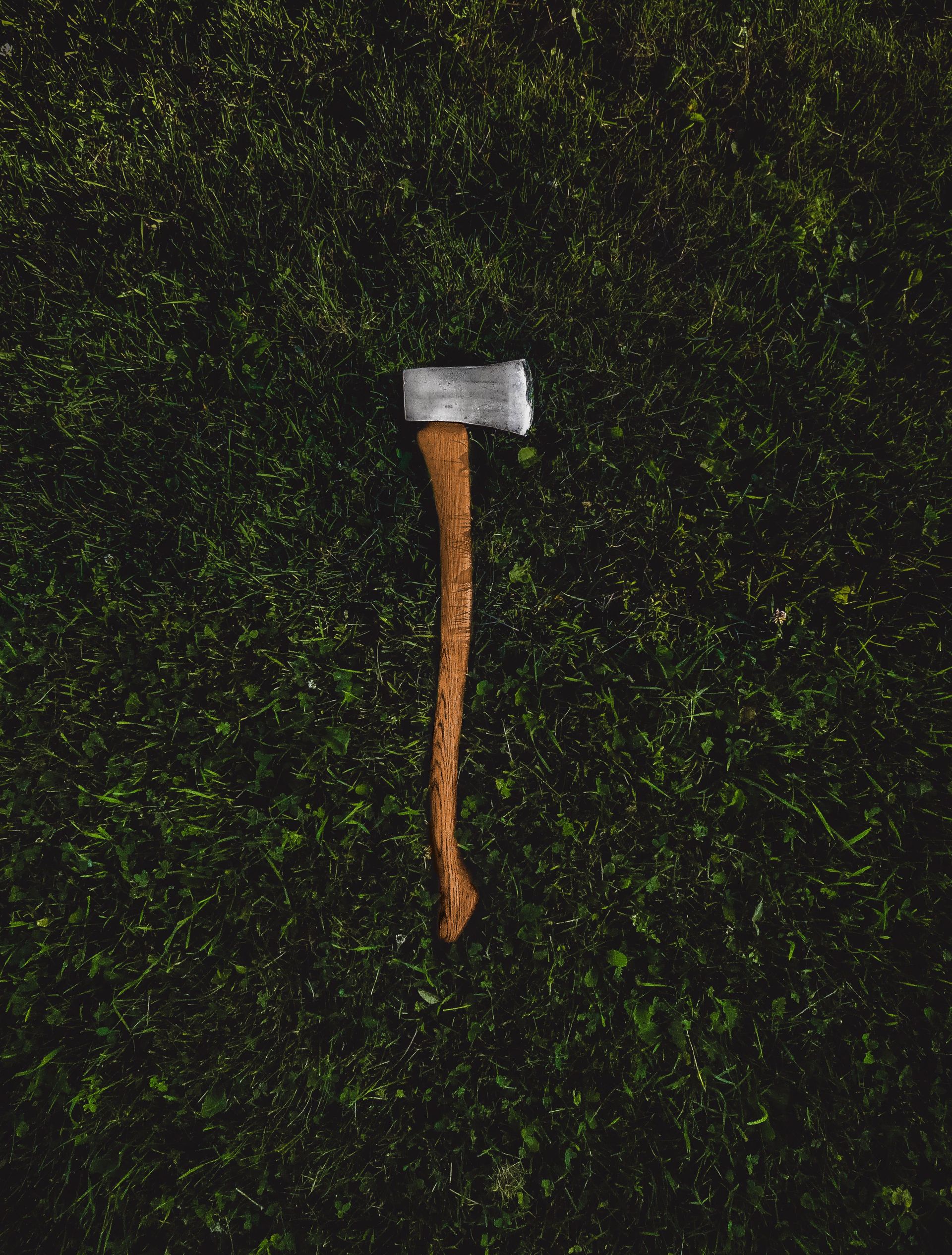 An axe with a wooden handle lies on lush green grass, symbolizing rugged tools.